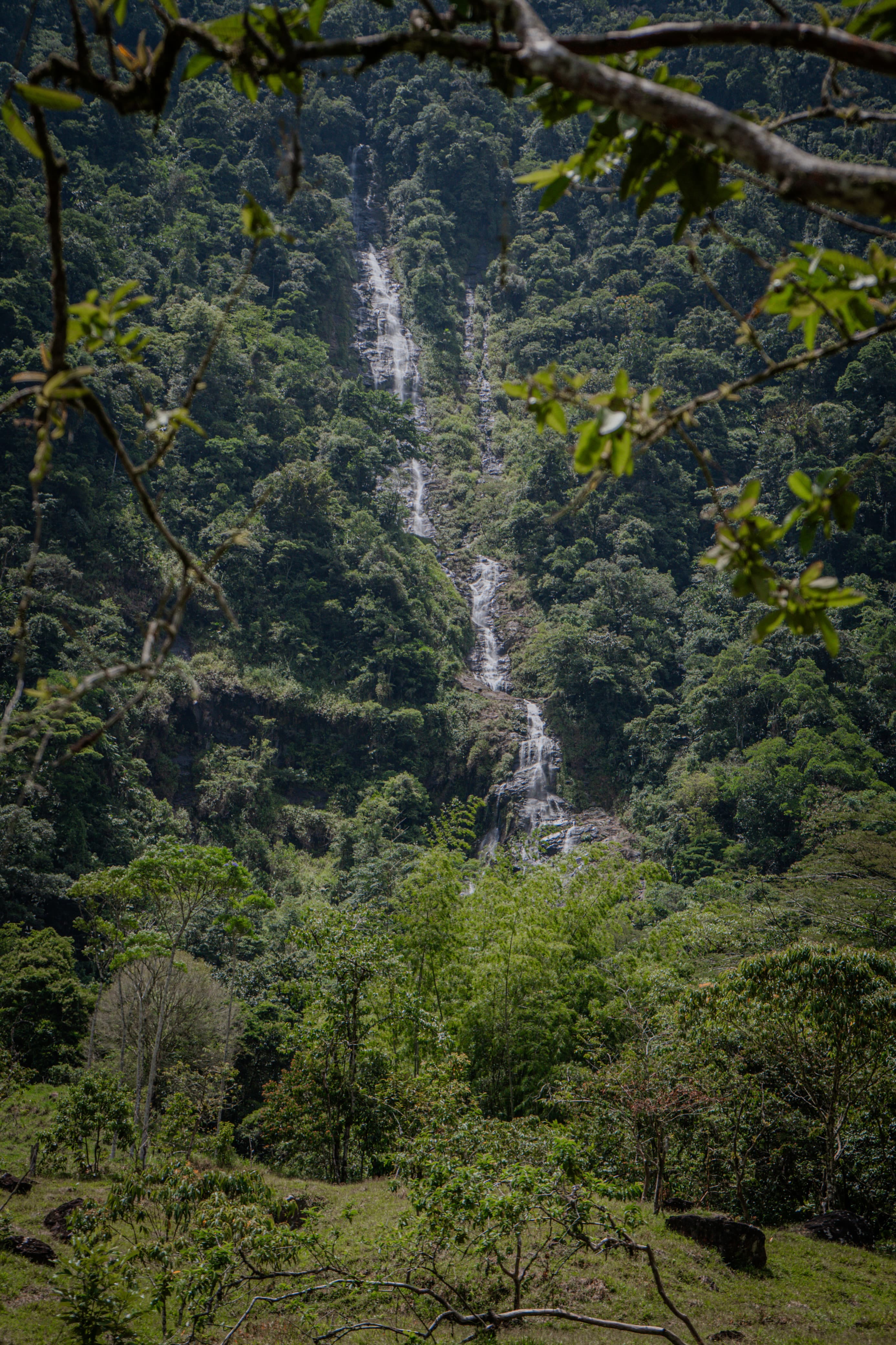 rio-santo-domingo